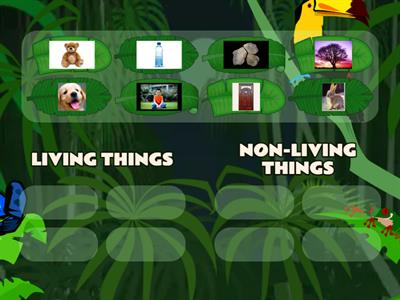 LIVING AND NON-LIVING THINGS