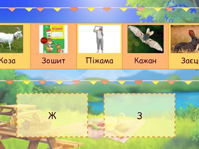 Диференціація звуків Ж - З