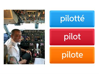 tout en français quizz