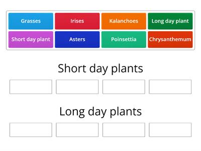 Day length