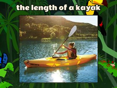 Estimate the Length Flying Fruit