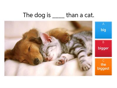 Comparatives and Superlatives