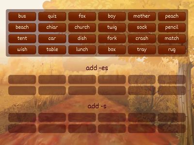5th grade  plural nouns -s/-es  SKostova