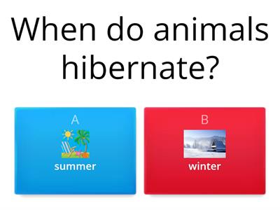 Hibernation 