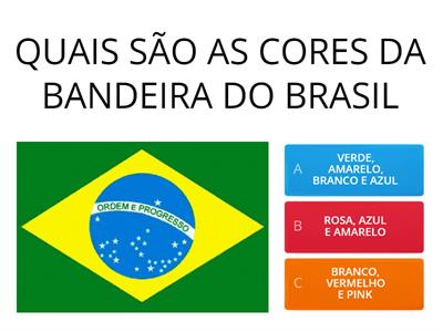 BANDEIRA DO BRASIL