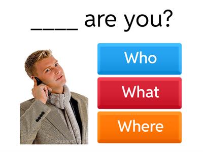 1- Who / What / When / Where