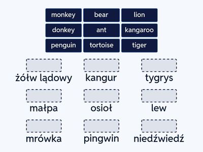 English class Unit A2+  Animals