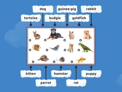 Лапицкая 4 5.1 Ex.1b