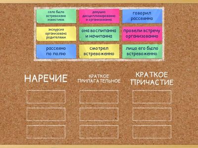 РАЗЛИЧАЙ ОМОНИМЫ