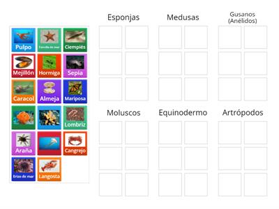 3 Prim.  Animales invertebrados