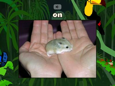 Greenman St. Unit 5 - On / Under Zeppelin Idiomas