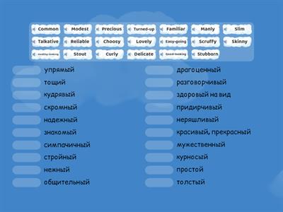 Прилагательные 10 класс Афанасьева