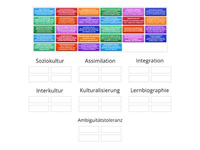 Begriffsdefinitionen soziokultureller, interkultureller und lernerbiografischischer Konzepte  