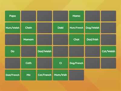 Pairs of languages