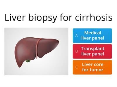 Liver Panel Protocols