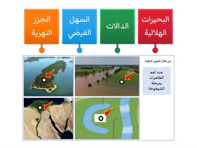 ظاهرات مرحلة الشيخوخة