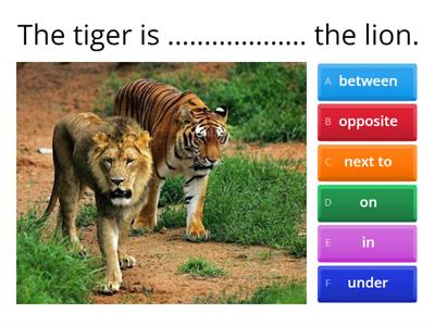 Prepositions: next to, between, opposite