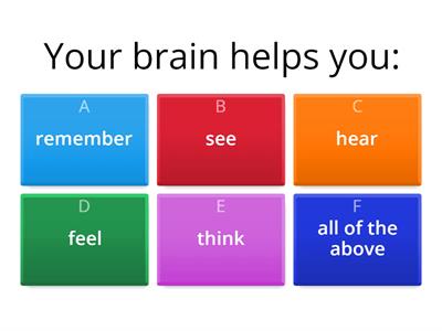 Neuroscience: Train My Brain