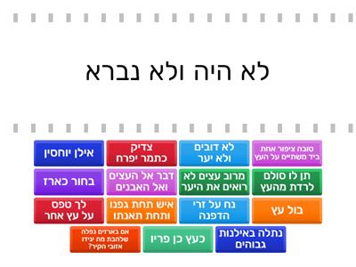 ניבים וביטויים לטו בשבט