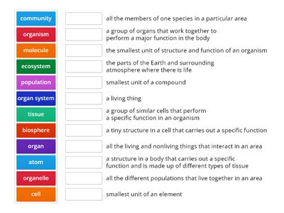 Levels of Organization