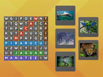 Unravel the mistery in the Amazon