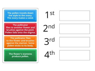 Steps of Pollination