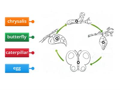 Fairyland 2 Unit 5 Go Green! LABEL THE DIAGRAM