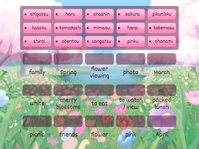 Ohanami Vocabulary Practice