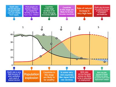 Demographic Transition Model AJM