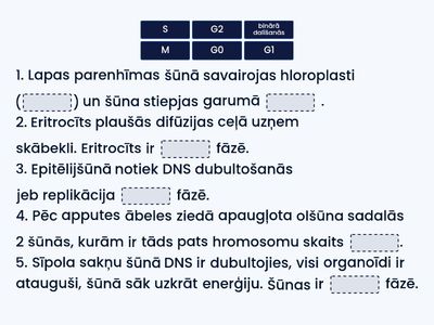 Šūnas dzīves posmi