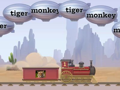 animals grade 3(unit 4)