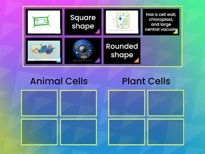 Animal vs Plant Cells