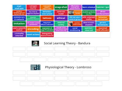 Theory key terms to use in your answers