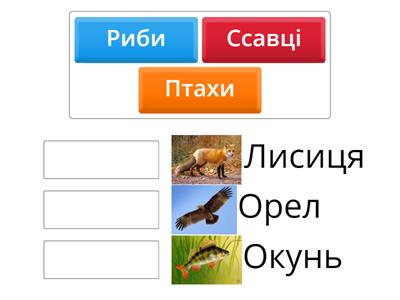 Класи тварин