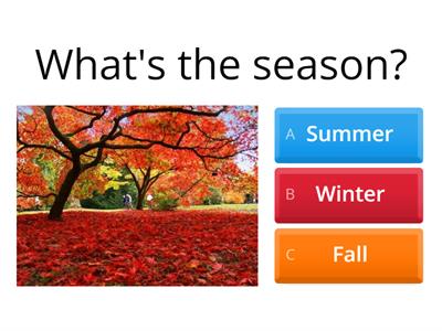 Months and Seasons