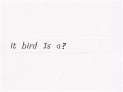  VERB "TO BE" INTERROGATIVE