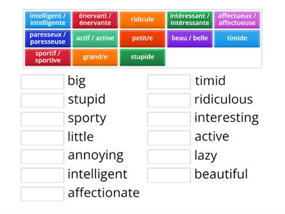 FRENCH adjectives