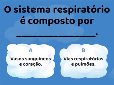 Sistema Respiratório