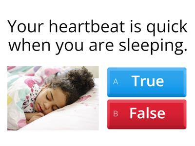 Factors affecting Heartbeat  2