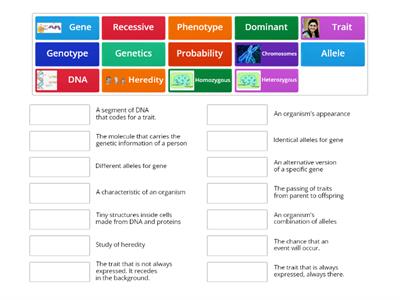 Intro to Genetics Vocabulary