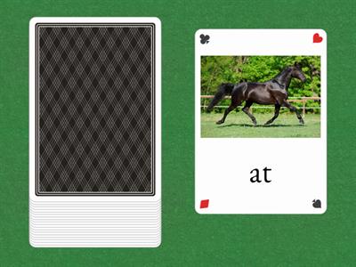 Dil ve Konuşma Etkinliği - Tek Heceler