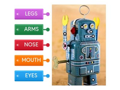 robot - body parts