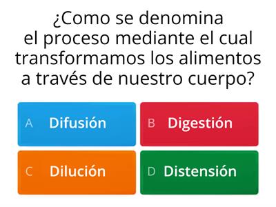 Respuesta correcta aparato digestivo