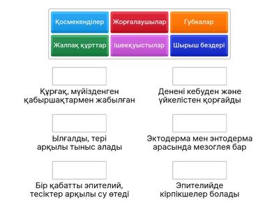 Омыртқасыз және омыртқалы жануарлардың тері қабаттарының салыстырмалы сипаттамасы