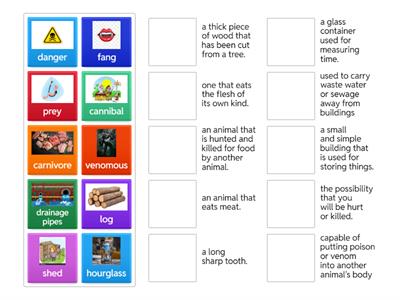 MATCH - AMAZING ANIMALS YEAR 4