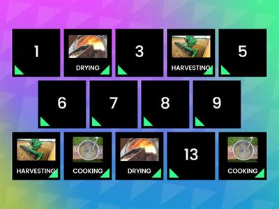 CIRCUITO DE PRODUCCIÓN DE LA YERBA MATE