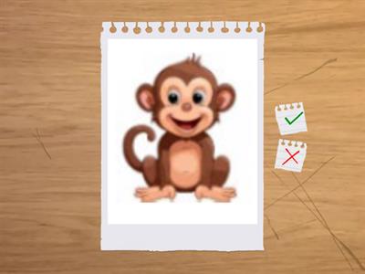 Alphabet Objects (Sunrise English)