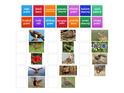 Živočichové - pole