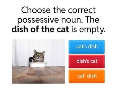 Singular and Plural Possessive Nouns