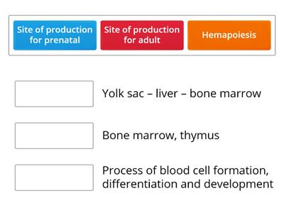 C01. Hematopoiesis